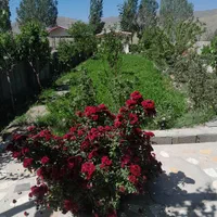 فروش  باغچه نقلی|فروش زمین و ملک کلنگی|خوی, |دیوار