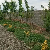 فروش زمین ۴۳۶ متری در سهیلیه زعفرانیه زکی اباد.|فروش زمین و ملک کلنگی|کرج, گلشهر|دیوار