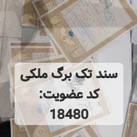 فاز ۲ الهیه صفی اباد جلدک چاهشک تهاتر با خودرو|فروش زمین و ملک کلنگی|مشهد, جاهد شهر|دیوار