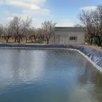 ۱۵۰۰ متر باغ بادام (زمین) منطقه زرندیه ساوه|فروش دفتر صنعتی، کشاورزی، تجاری|تهران, امیر بهادر|دیوار