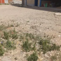 نیازمند کارگر بوجاری
