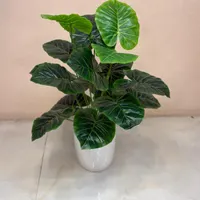 حراج درختچه مصنوعی