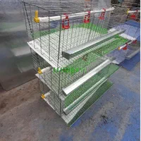 انواع قفس پرندگان|حراج|گلستان (تهران), |دیوار