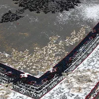 چند تخته فرش جدید ۱۲متر نو آکبند ۶و۹و۱۲|فرش|تهران, نعمت‌آباد|دیوار