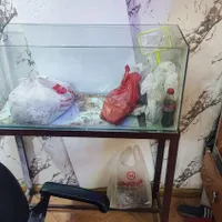 اکواریوم
