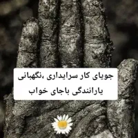 جویای کارسرابداری نگهبانی یا رانندگی باجای خواب