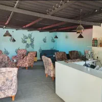 اسب سواری و باشگاه سوارکاری|اسب و تجهیزات اسب‌سواری|تبریز, |دیوار