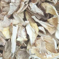 قارچ خشک|خوردنی و آشامیدنی|تهران, آبشار|دیوار