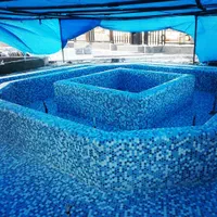 کاشی استخری