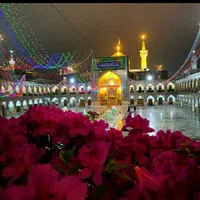 کاروان وتورهای زیارتی مشهدمقدس وکربلا معلی و قشم