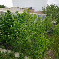 رودهن گلاهک ۱۵۰۰ متر باغ ویلا با ۲۲۰ متر بنا|فروش خانه و ویلا|رودهن, |دیوار