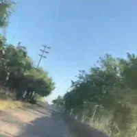 ۱۰۰۰ متر باغ/سند تک برگ/معاوضه باخودرو/زرندیه|فروش دفتر صنعتی، کشاورزی، تجاری|ساوه, |دیوار