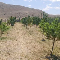 خدمات باغبانی هرس کاری  علفزنی و چال کودعلف زنی|خدمات باغبانی و درختکاری|زنجان, |دیوار
