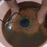 سم زدایی کل بدن