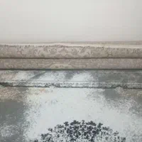 فرش شش متری کرم رنگ ۲عدد