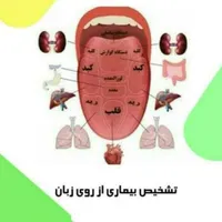 آموزش رایگان طب سنتی ودرمان