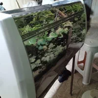 دستگاه قهوه جیمبالی m39 تال کاپ۲۰۲۱سه گروپ اتومات|کافی‌شاپ و رستوران|تربت‌حیدریه, بوستان باغ ملی|دیوار