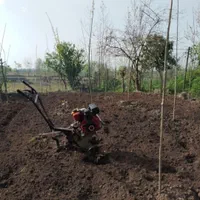 گل کاری.علف تراشی.شخم.فروش و کاشت درخت.نصب فنس|خدمات باغبانی و درختکاری|لاهیجان, آهندان|دیوار