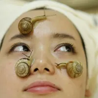 حلزون برا پاکسازی پوست