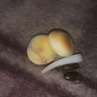 مهره خاص . هندی اصیل|جواهرات|اصفهان, آزادان|دیوار