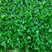پخش چمن مصنوعی و گرین وال و فنس چمنی|خدمات باغبانی و درختکاری|تهران, باغ فیض|دیوار