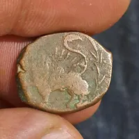 سکه