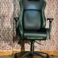صندلی گیمینگ ریزر مدل Razer lskur