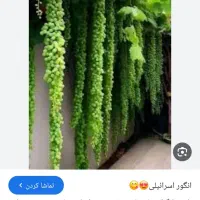 خریدار ضایعات و ته انباری هستم هرچی باشه