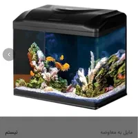 آکواریوم|ماهی|تهران, حکیمیه|دیوار