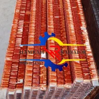 رادیاتور اسکانیا|قطعات یدکی و لوازم جانبی|رباطکریم, |دیوار