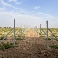 تیرک داربستی تیرچه انگوری پایه انگور تیرچه داربستی|عمده‌فروشی|تهران, ایران|دیوار