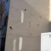 فروش ملکیت تجاری مسکونی ۶۴متر|فروش مغازه و غرفه|تهران, یاخجی آباد|دیوار
