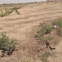 خانه باغ شهر مشکات|فروش خانه و ویلا|قم, امامزاده ابراهیم|دیوار