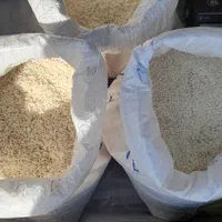 لاشه ها-شمی|خوردنی و آشامیدنی|پرند, فاز ۰|دیوار