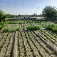 فروش زمین(باغ) ۵۰۵ متری در باغ فردوس(ناژوان)|فروش زمین و ملک کلنگی|اصفهان, باغ فردوس|دیوار