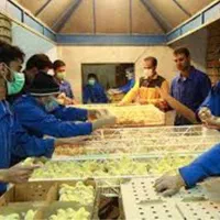 بلدرچین وبلک وکاکلی پامشکی جوجه گوشتی|حیوانات مزرعه|ایلام, |دیوار