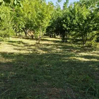 فروش باغ ۳۵۰۰متری شهرکرد محدوده پل زمانخان|فروش زمین و ملک کلنگی|شاهین‌شهر, شهرک گلدیس|دیوار