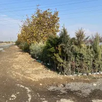 زمین 160 متر دو نبش بر شهید قربانی|فروش زمین و ملک کلنگی|کرج, ملک‌آباد|دیوار