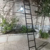نردبان|ابزارآلات|مشهد, هفده شهریور|دیوار