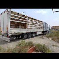 خریدوفروش انواع سبد میوه کارتون لاک بادی|عمده‌فروشی|مشهد, پنجتن|دیوار