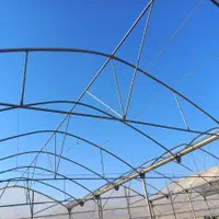 ساخت گلخانه|خدمات پیشه و مهارت|یزد, |دیوار