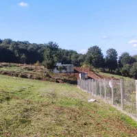 زمین وصل به جنگل و روستا کردآباد|فروش زمین و ملک کلنگی|علی‌آباد کتول, |دیوار