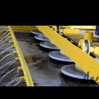 قالیشویی اتوماتیک در اندیشه شهریار فردیس