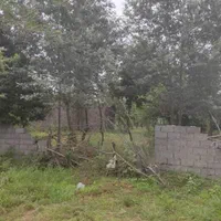فروش زمین مسکونی مزایده ای رشت|فروش زمین و ملک کلنگی|تهران, فرحزاد|دیوار