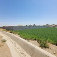 فروش زمین ۷۵۰ متری در ورودی حسین‌آباد منشیان|فروش زمین و ملک کلنگی|اصفهان, حسین‌آباد|دیوار