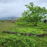 فروش 420متر زمین مسکونی درلنگرودروستای جدانوکر|فروش زمین و ملک کلنگی|لنگرود, |دیوار