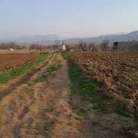 زمین کشاورزی نی ۲۰۰۰ متر فروش و معاوضه