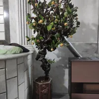 گلدان درختی مصنوعی هر کدام ۸۰۰ تومن
