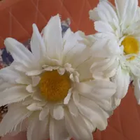 گلها خارجی و وسایل ورزشی