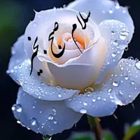 نیازمند یک پرستار در میانکوه